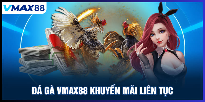 Đá gà Vmax88 khuyến mãi liên tục