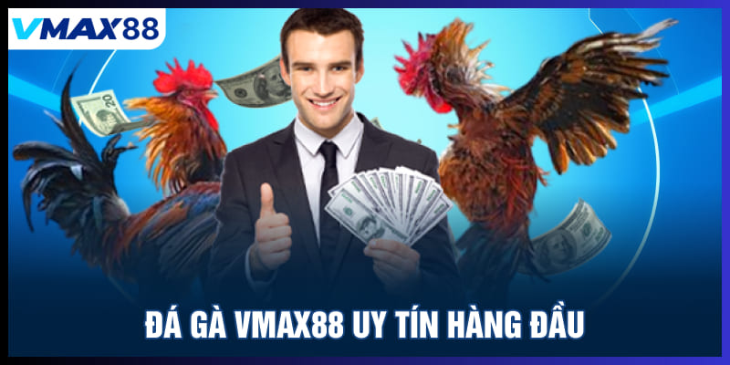 Đá gà Vmax88 uy tín hàng đầu