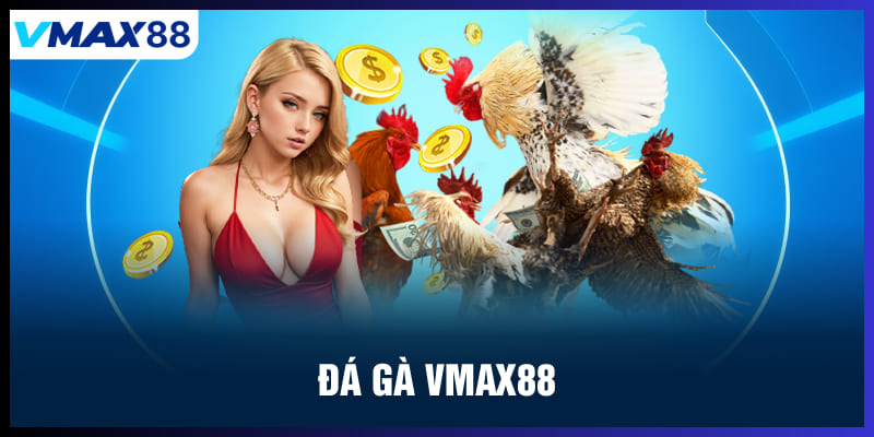 Đá gà Vmax88